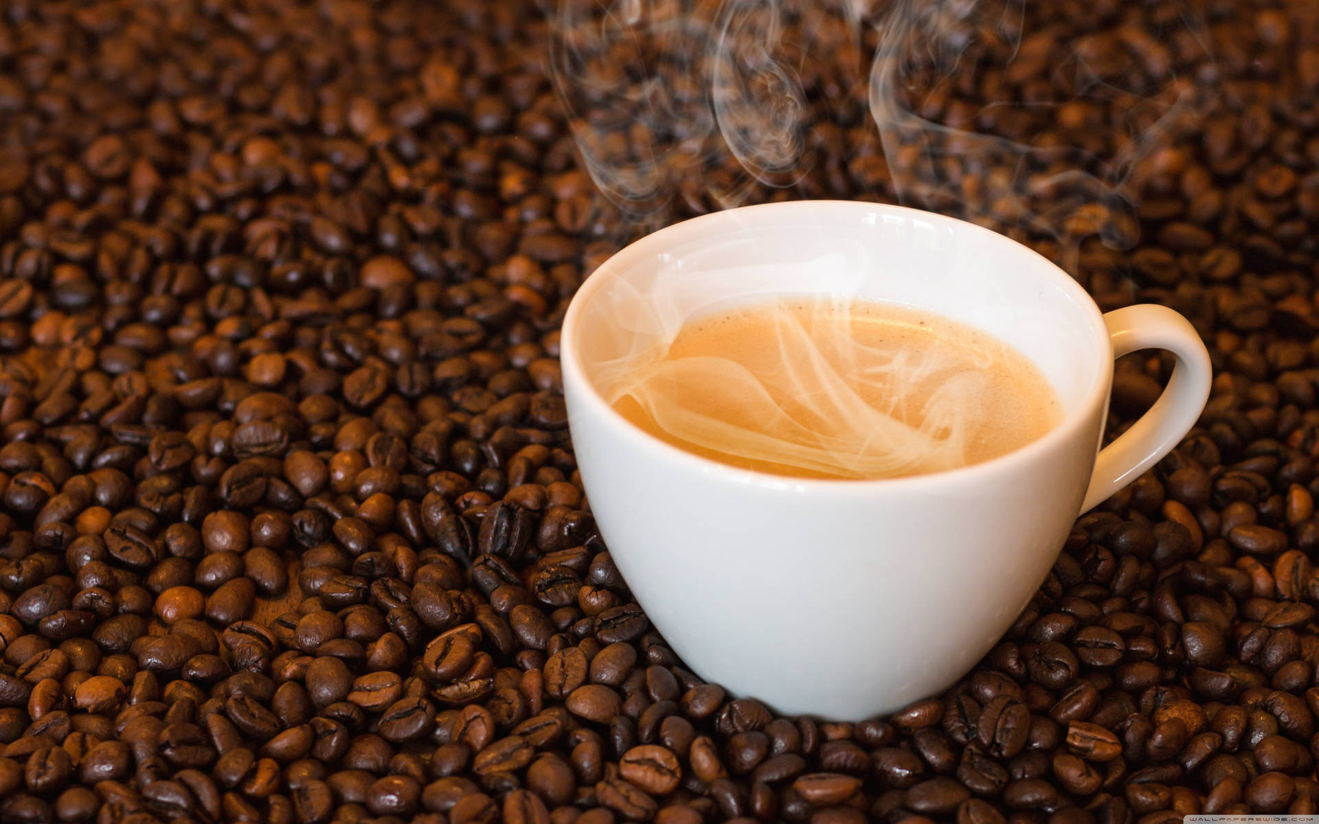 Coffee Cup On Arabica Beans Picture