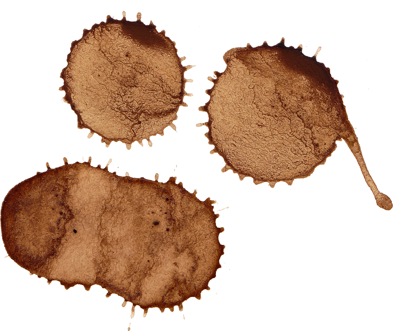 Coffee Stain Trio.png PNG
