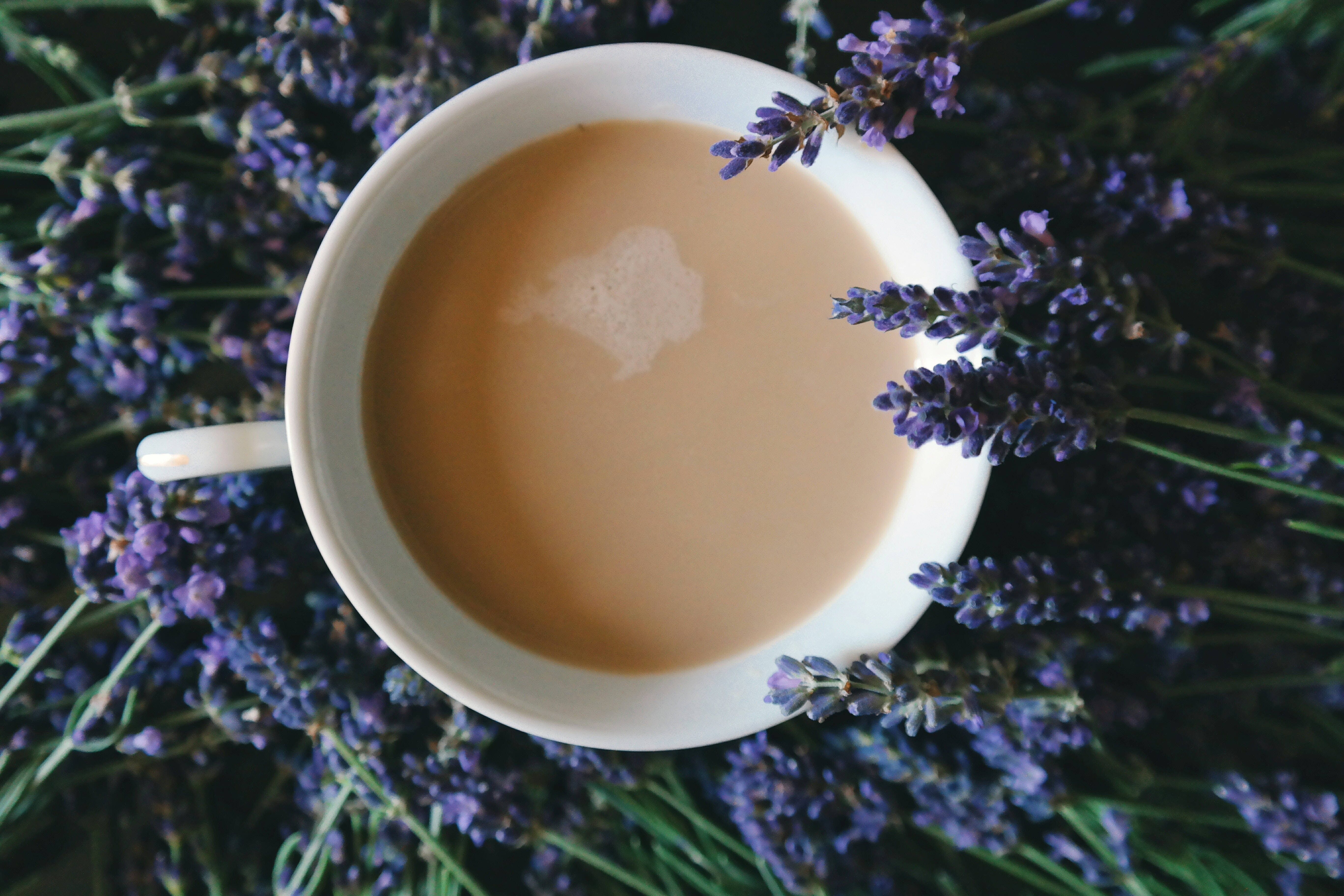 Coffee Surrounded By Lavender Desktop Wallpaper