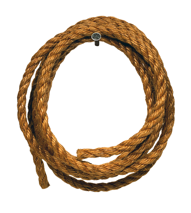 Coiled Lassoon Black Background PNG