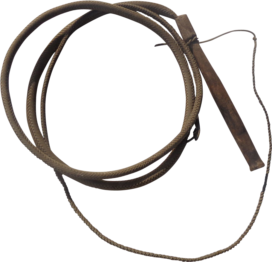 Coiled Leather Whip PNG