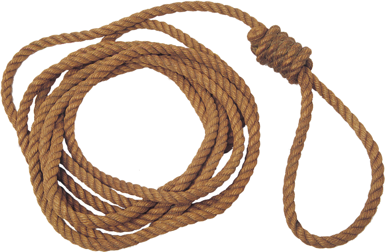 Coiled Rope With Noose Knot PNG