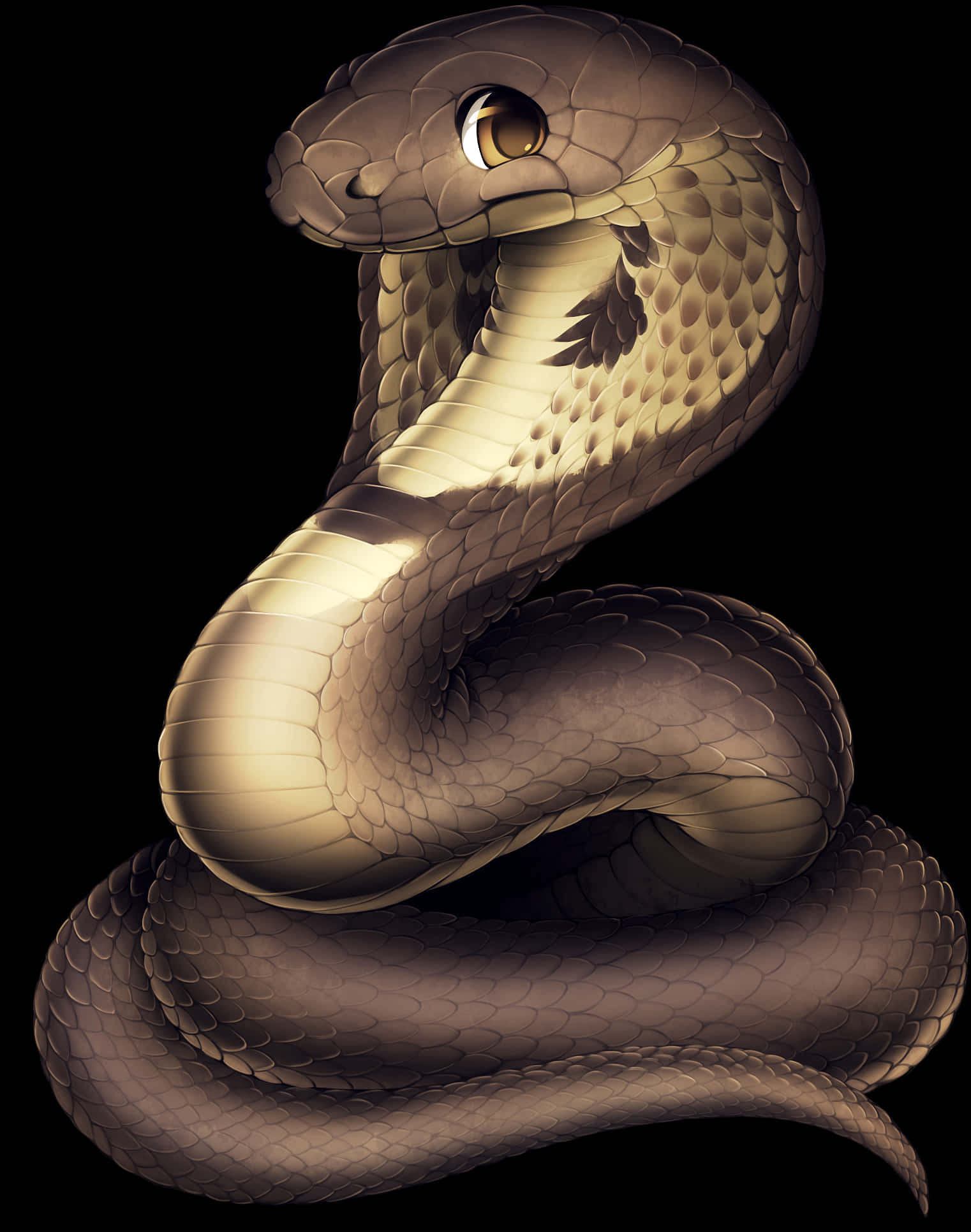 Coiled Snake Illustration PNG