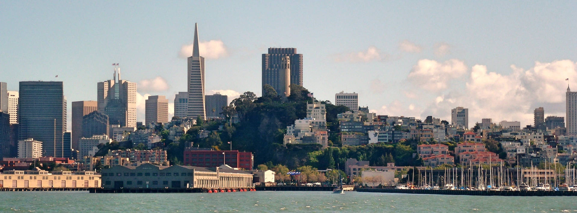 Coit Tower Daytime View Wallpaper