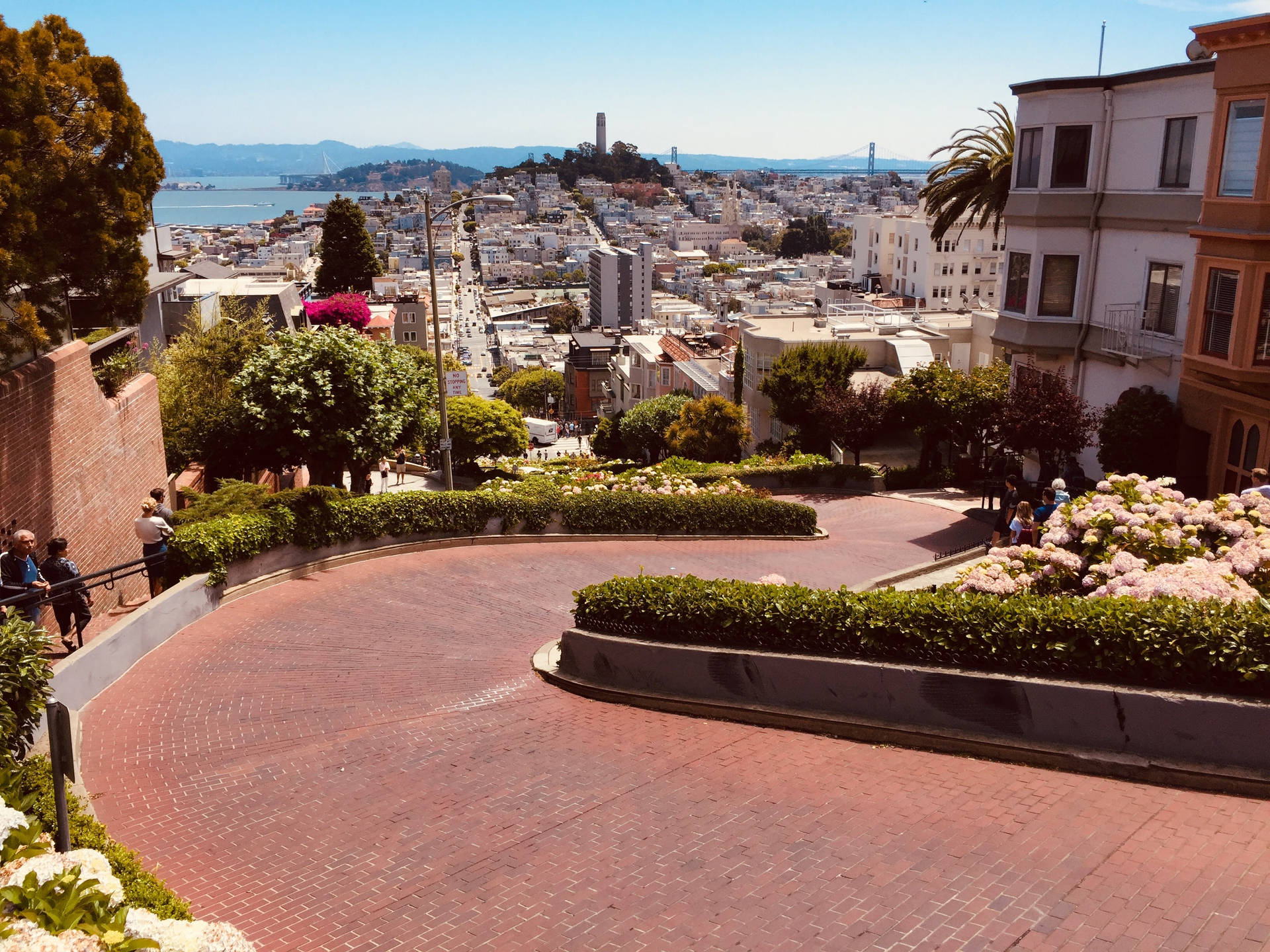 Coit Tower From Lombard Street Wallpaper