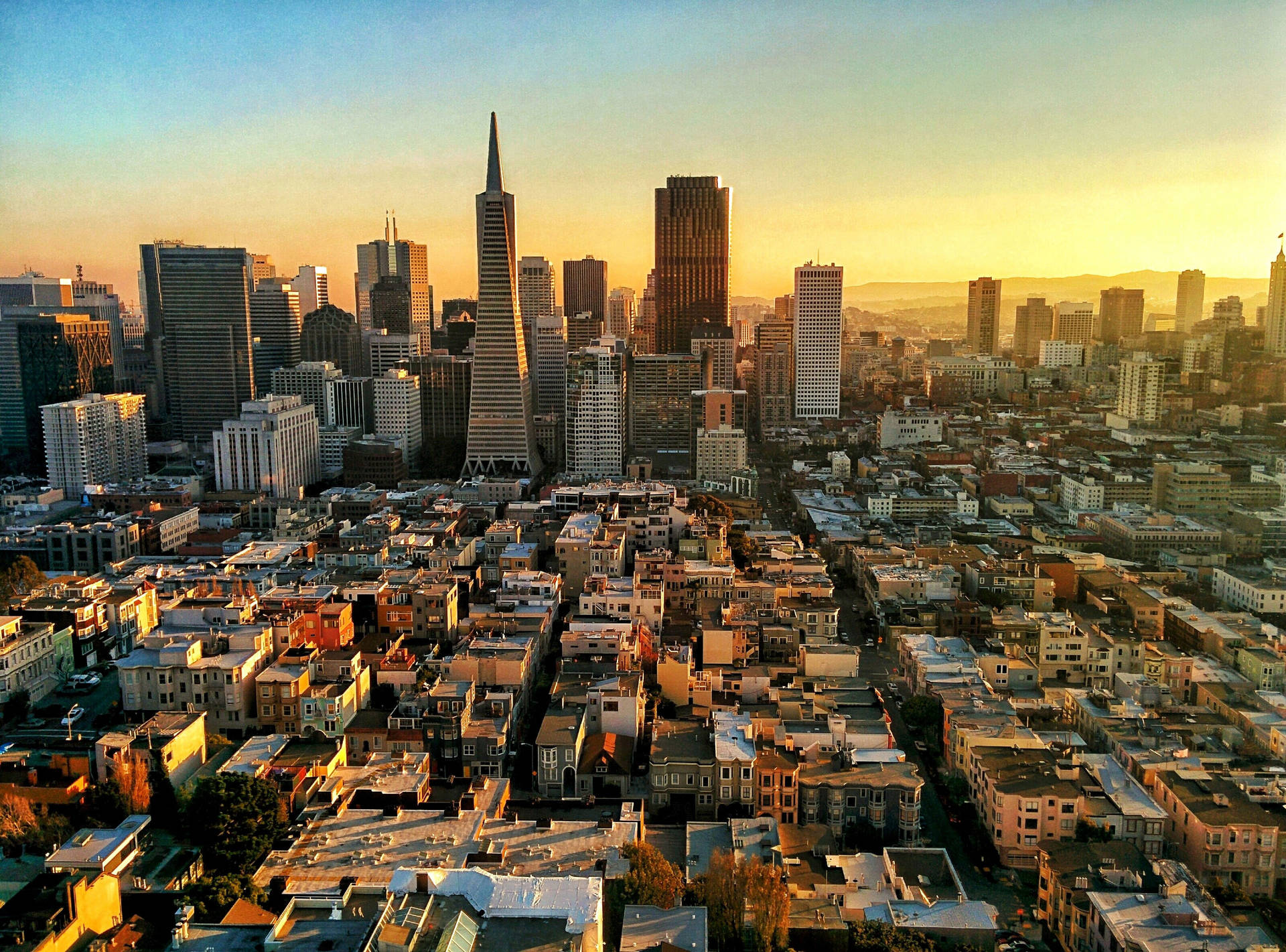 Vistade La Torre Coit En San Francisco Fondo de pantalla
