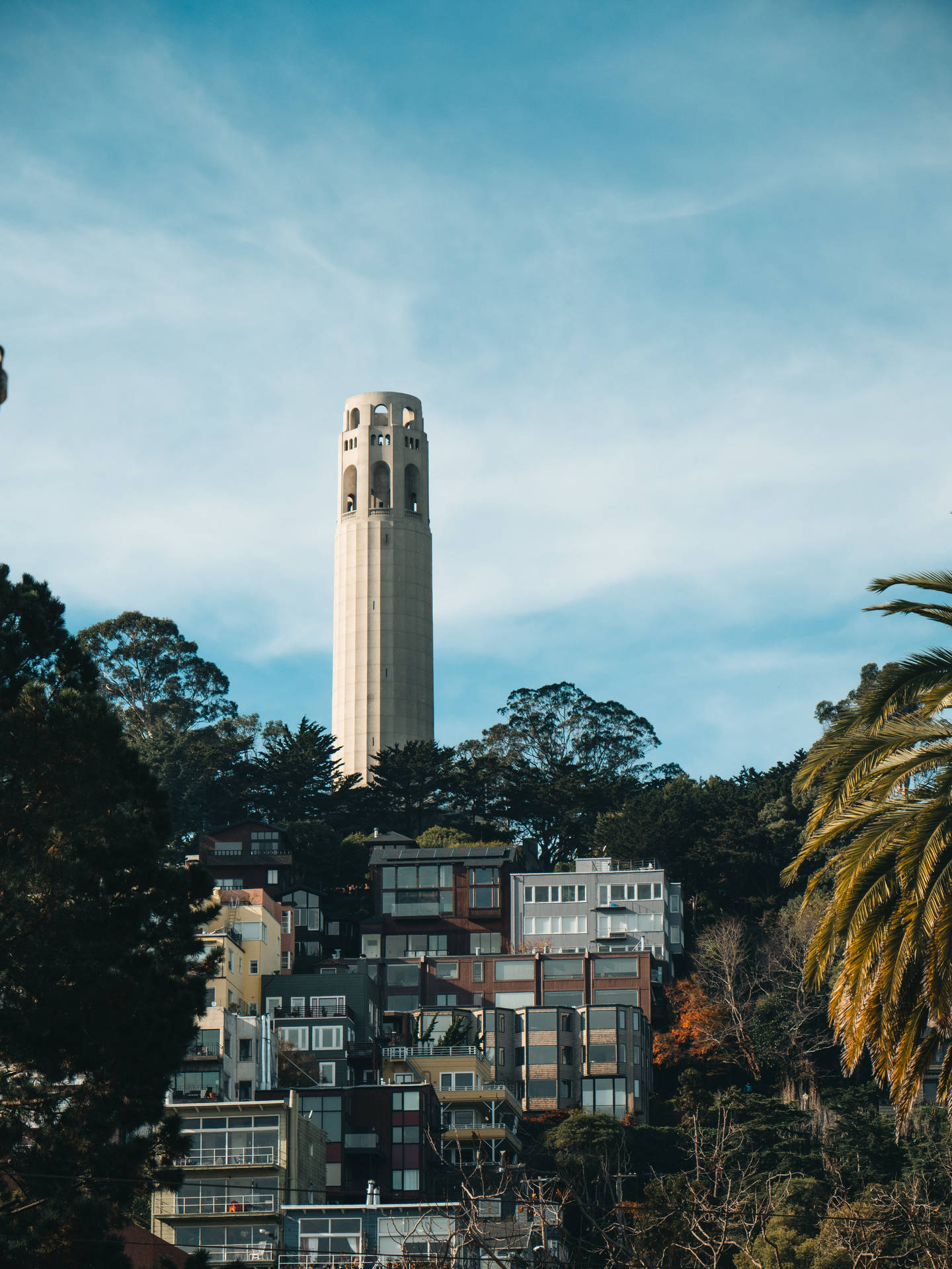 Disfrutandode Los Paisajes De San Francisco: La Torre Coit Con Un Fondo Glorioso De Verano. Fondo de pantalla