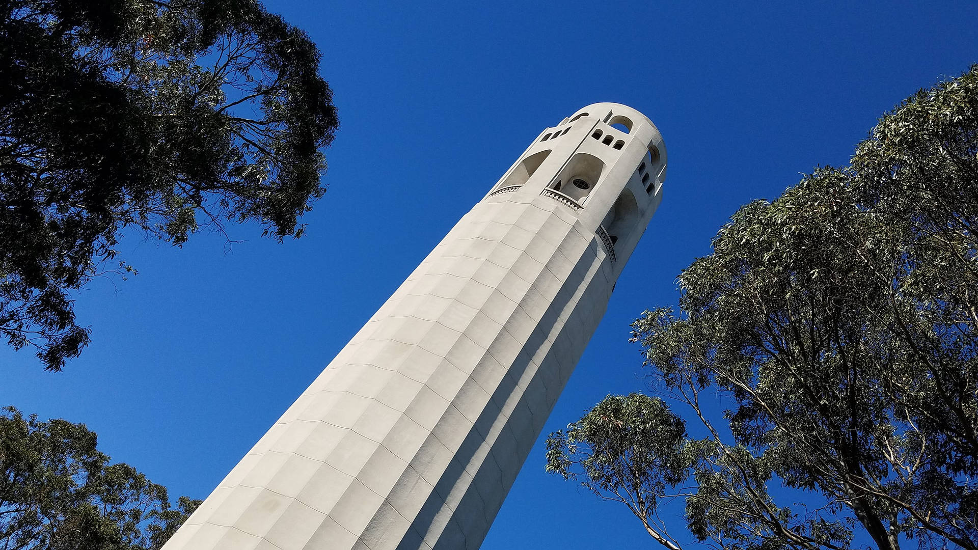 Coit Tower Worms Eye View Wallpaper