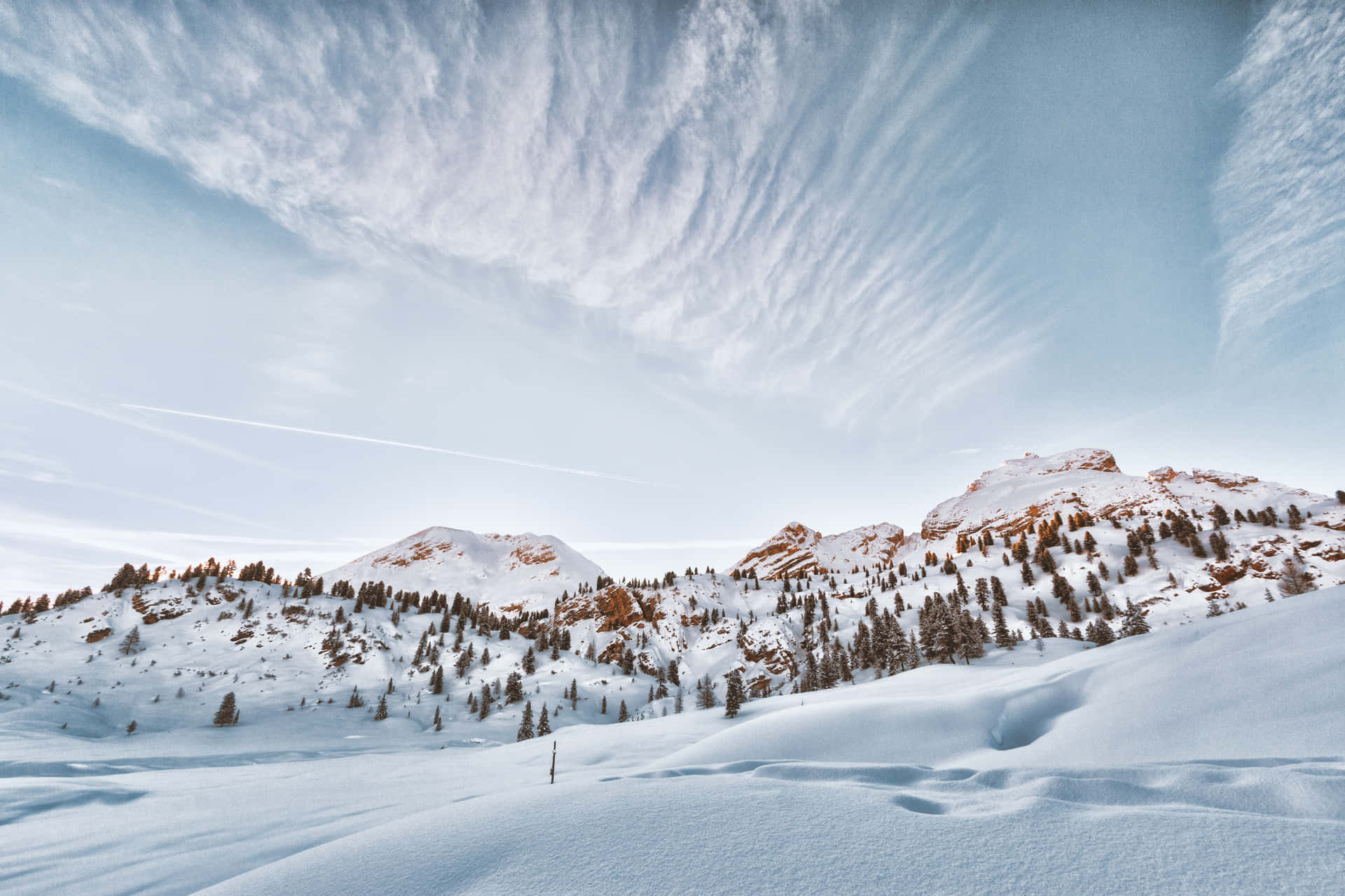 Embrace the chill with this wintery landscape.