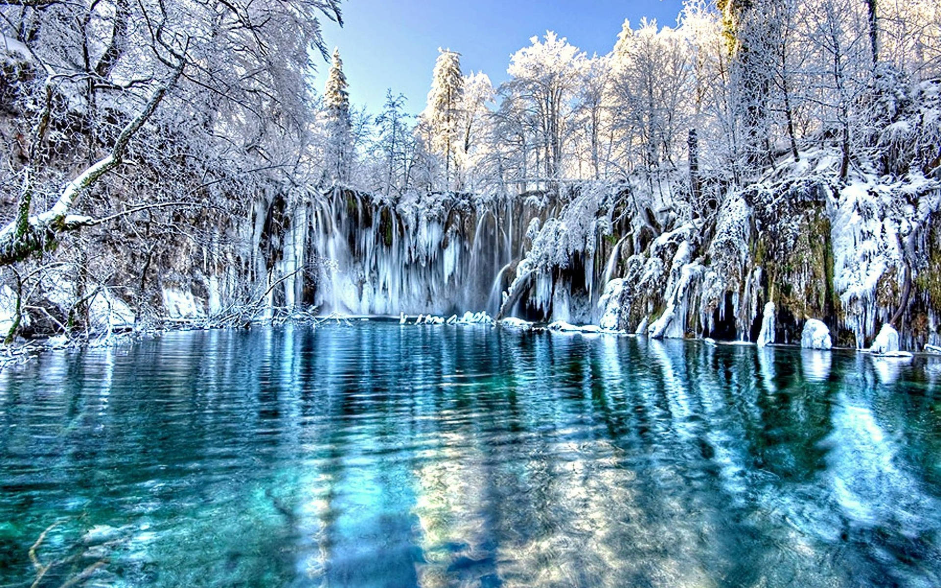 Cold Forest Snowy Lake Wallpaper
