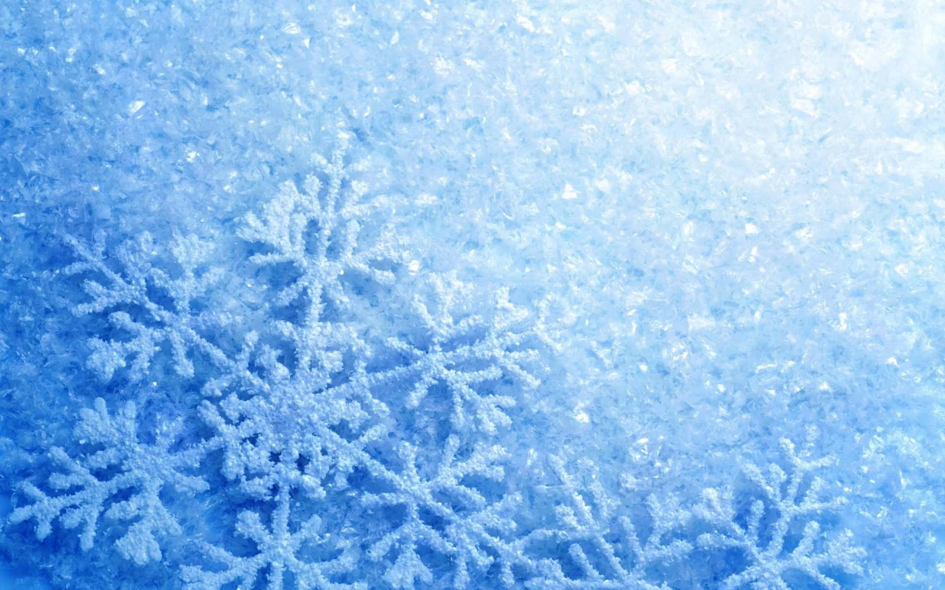 Cold Snowflake Shot Wallpaper
