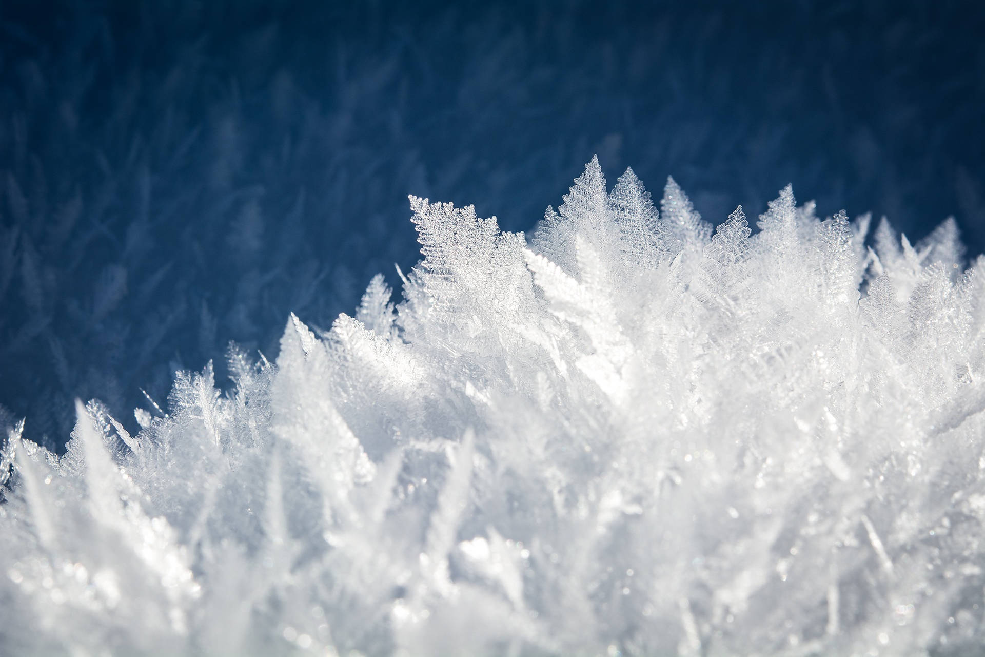 Cold Winter Crystals Wallpaper