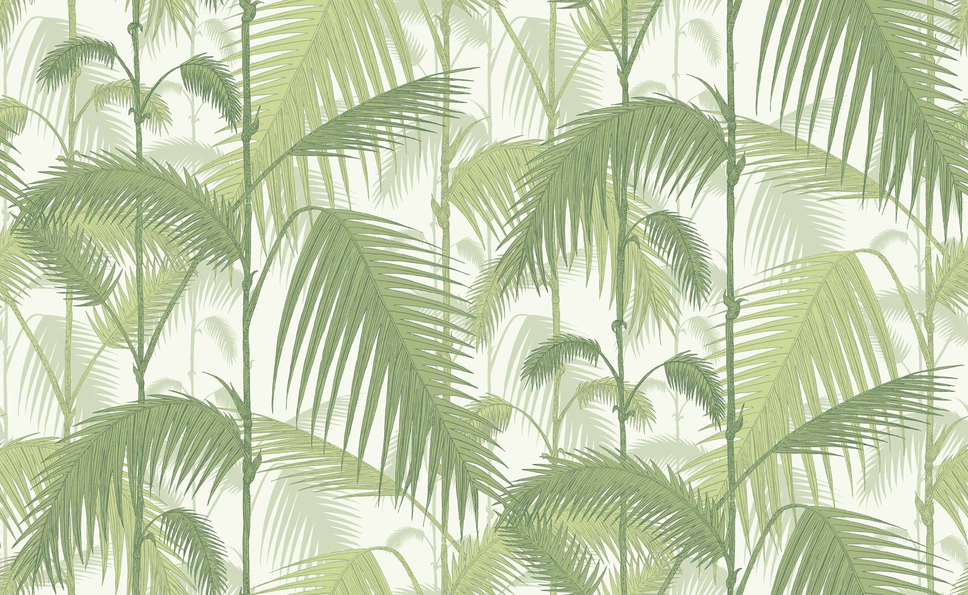 "Take in the beauty of nature with this stunning Cole&Son Palm Jungle wallpaper." Wallpaper