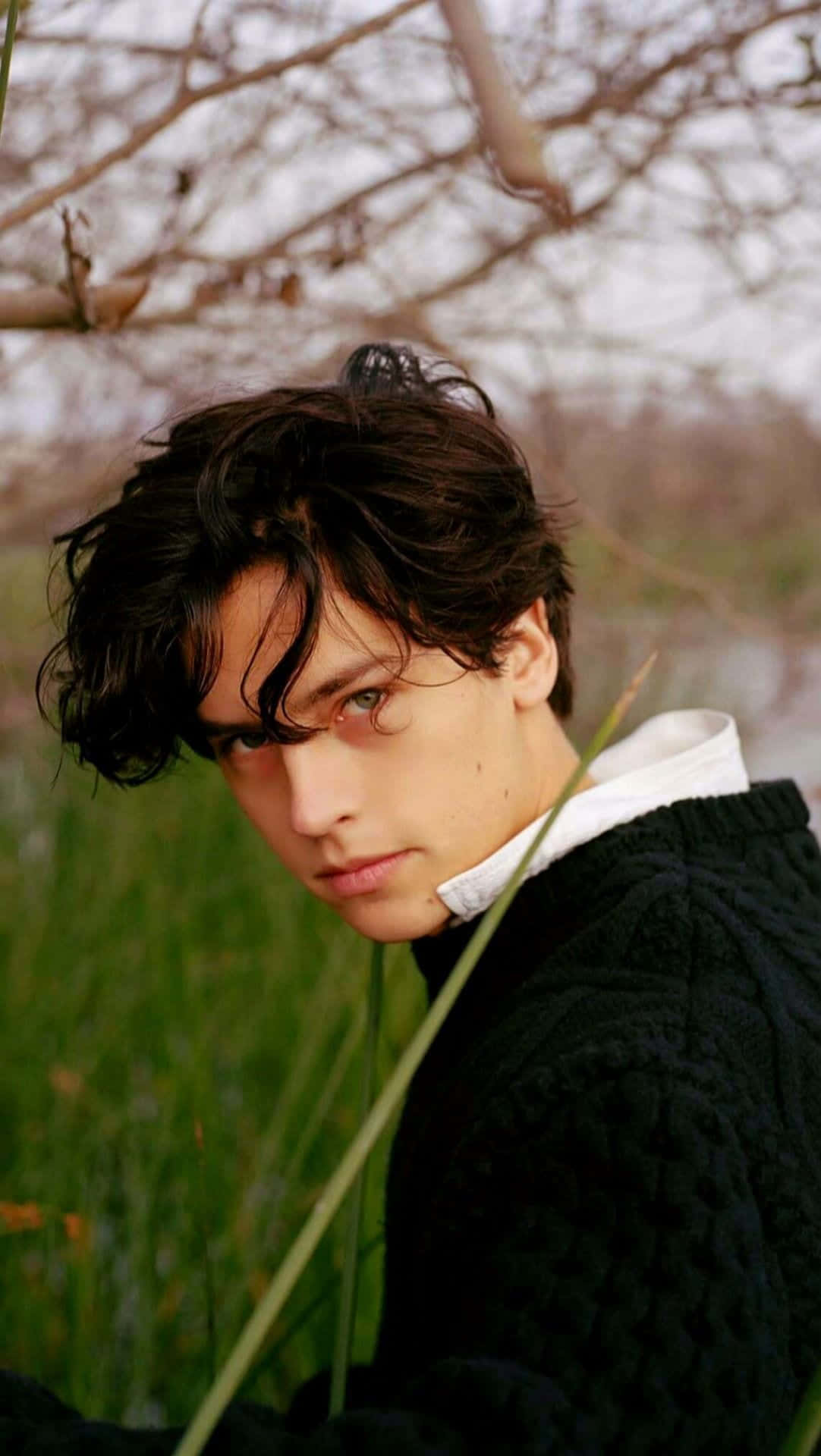 Cole Sprouse Looking Thoughtfully Into The Distance. Wallpaper