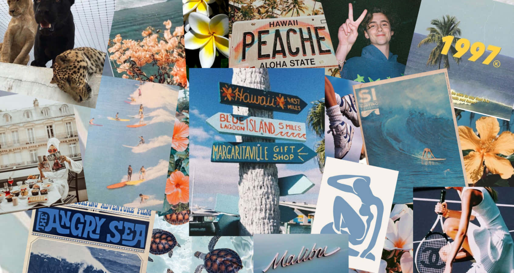 Collage Aesthetic Summer Laptop Wallpaper