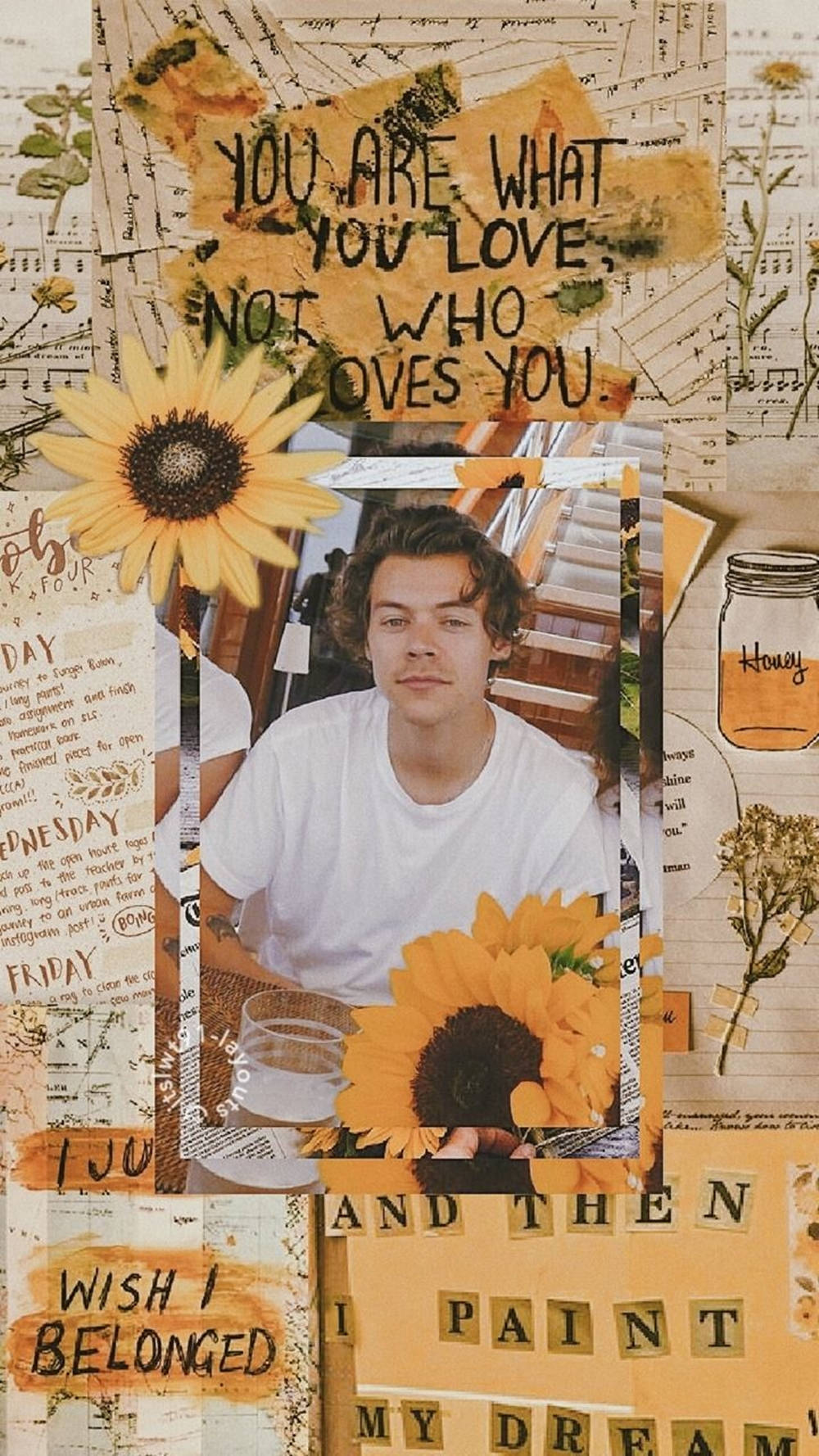 Collage For Harry Styles Aesthetic Screen Wallpaper