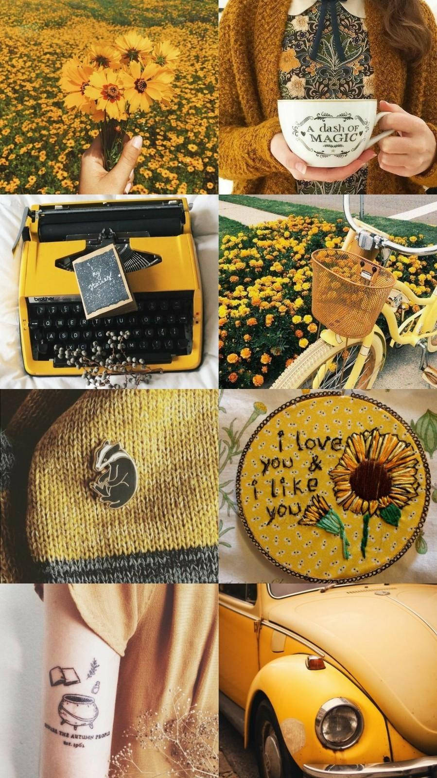 Collagede Fotos Vintage Amarillas Con Estética. Fondo de pantalla