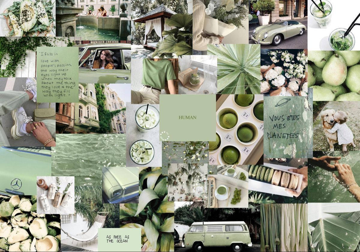 Collage Sage Green Desktop Wallpaper