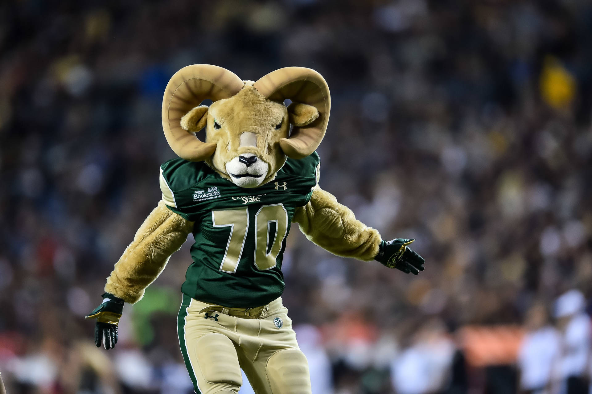 College Football Ram Mascot Picture