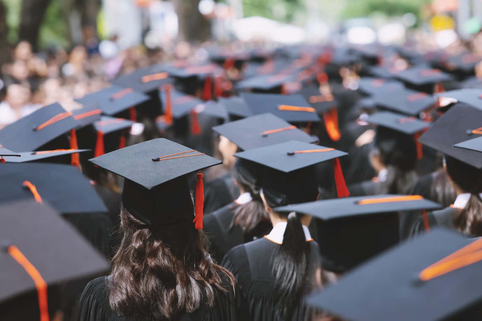 College Graduation Sort Caps Med Orange Franser Billede Wallpaper