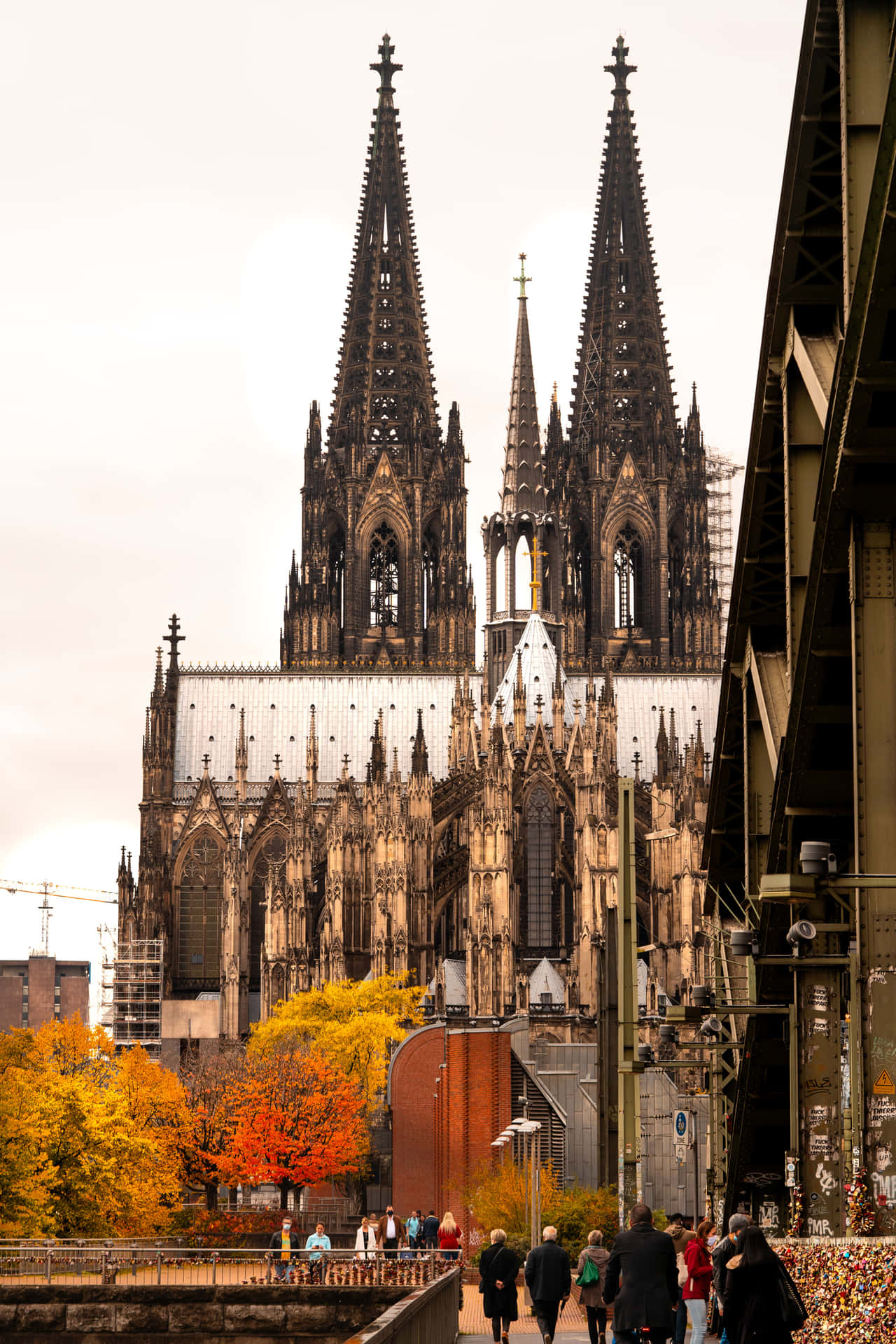 Cologne Cathedral At Autumn Wallpaper
