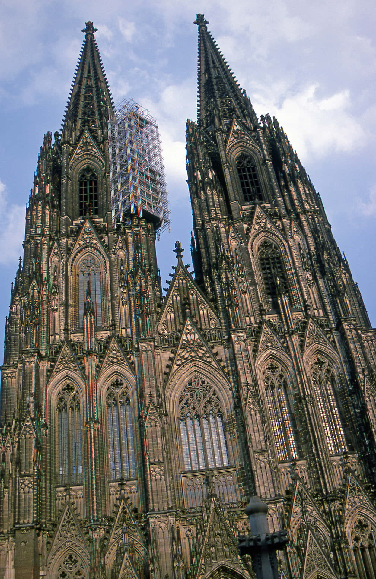Cologne Cathedral In Germany Picture