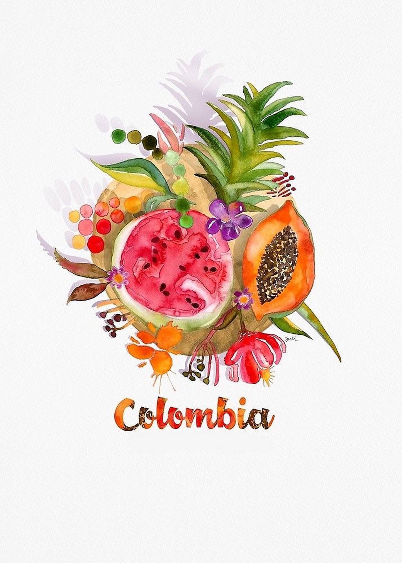 Colombia Fruits Illustration Wallpaper