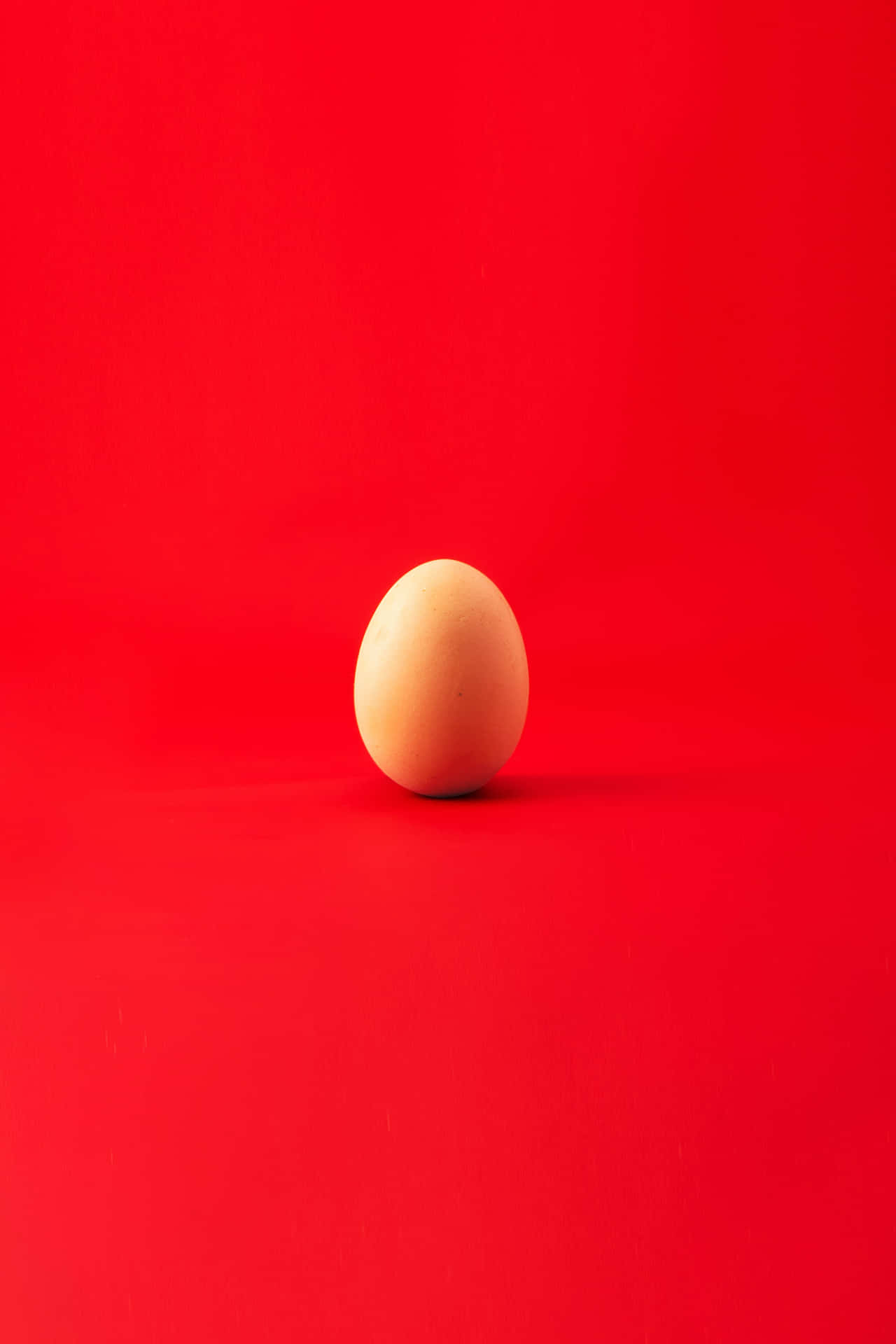 Lone Egg Red Color Background