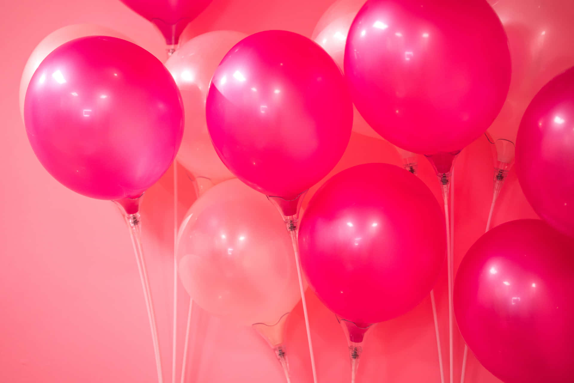 Pink Balloons Color Background