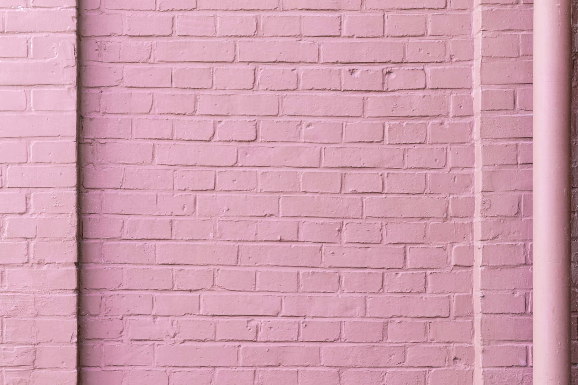 Pink Pastel Brick Wall Color Background