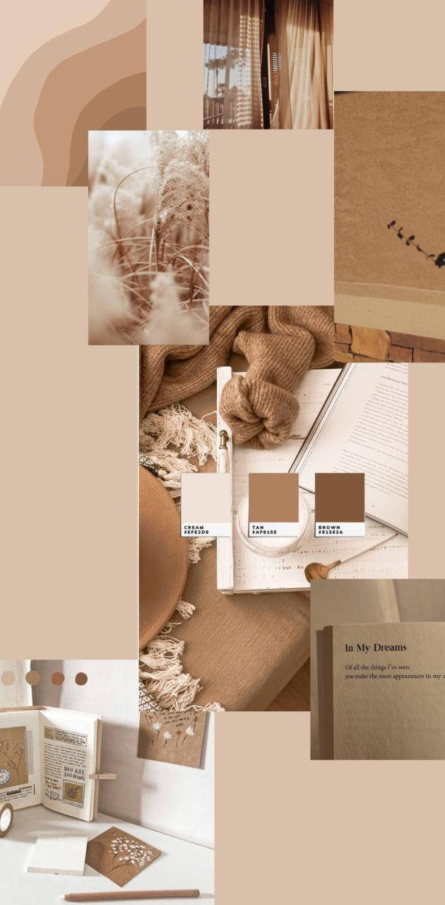 Color Beige Aesthetic Collage Wallpaper