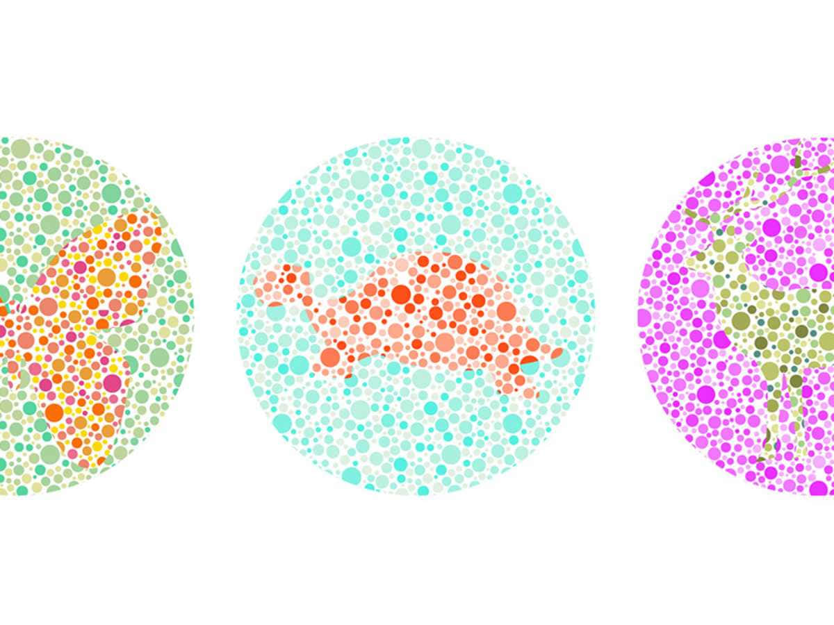 Tre forskellige farvede cirkler med forskellige dyr