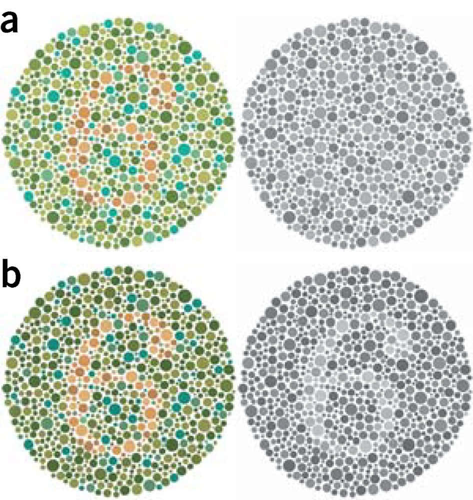 A Series Of Different Colored Dots In Different Sizes