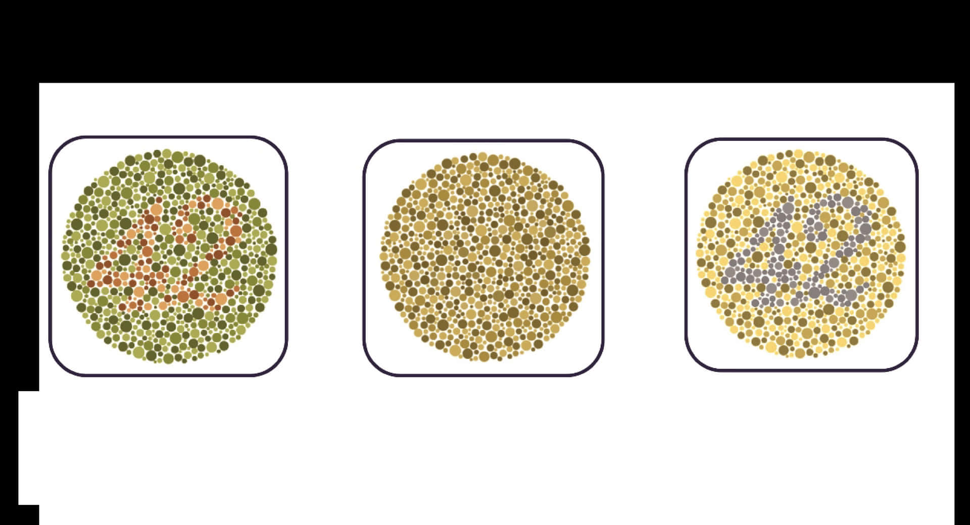 Four Different Types Of Seeds In Different Colors