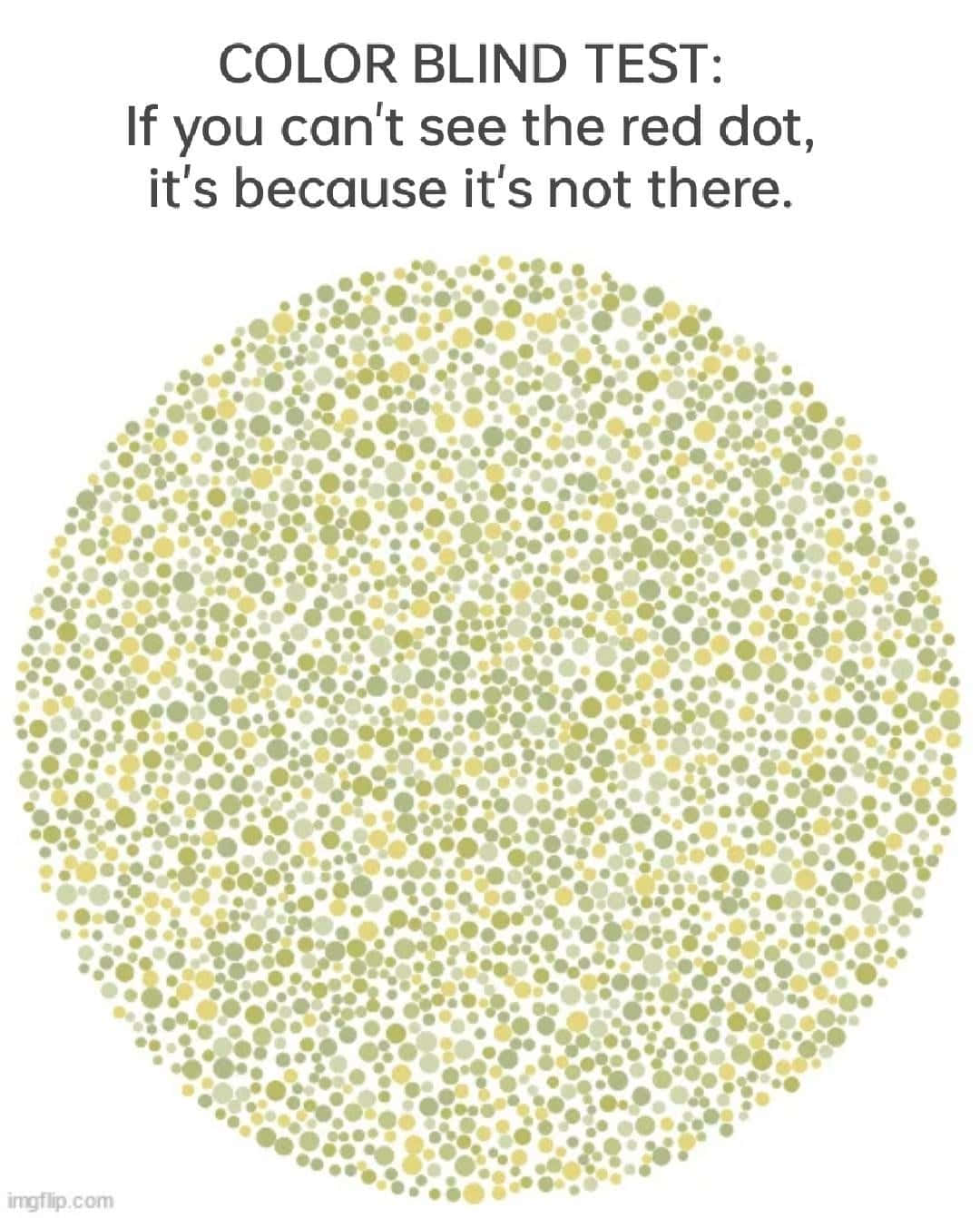 Color Blind Test If You Can't See The Red Dot, Because It's Not There