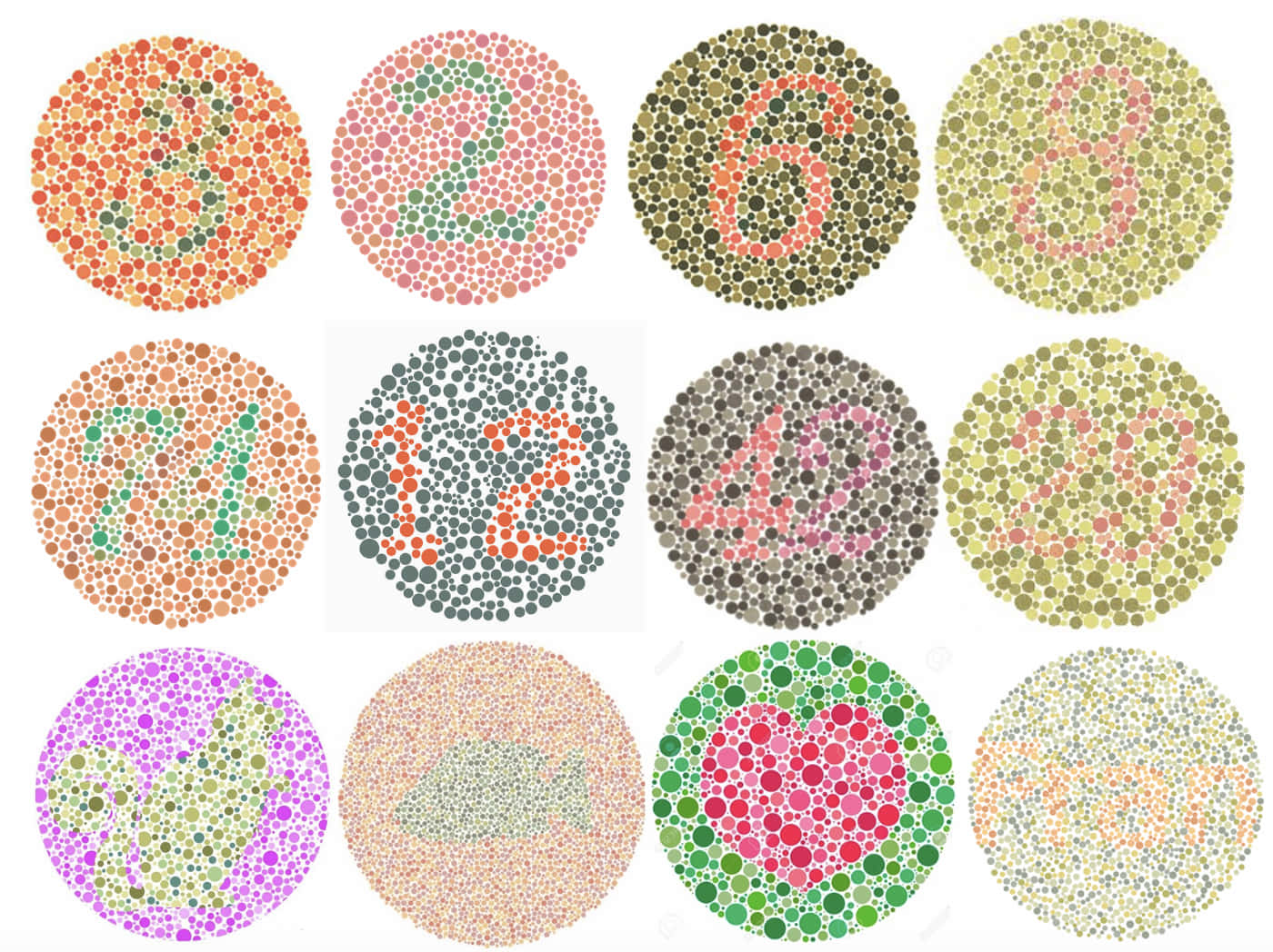 Unconjunto De Círculos Coloridos Con Números En Ellos
