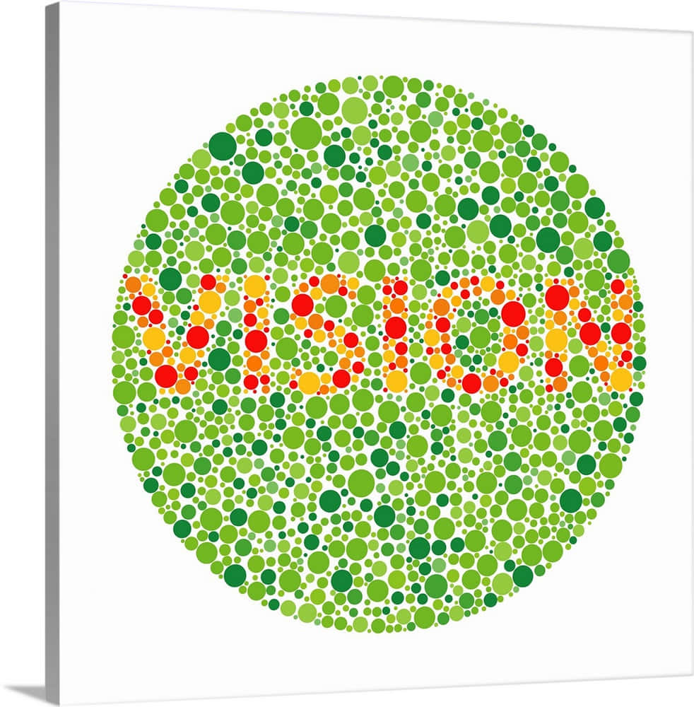 Visionevisione Del Colore - Visione - Visione - Visione - Visione - Visione - Visione - Visione - Visione - Visione