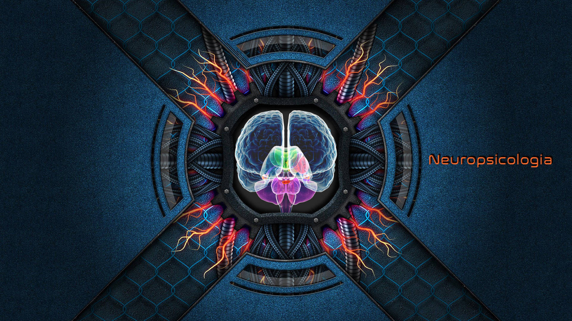 Ilustracióndel Córtex Cerebral Codificado Por Colores. Fondo de pantalla