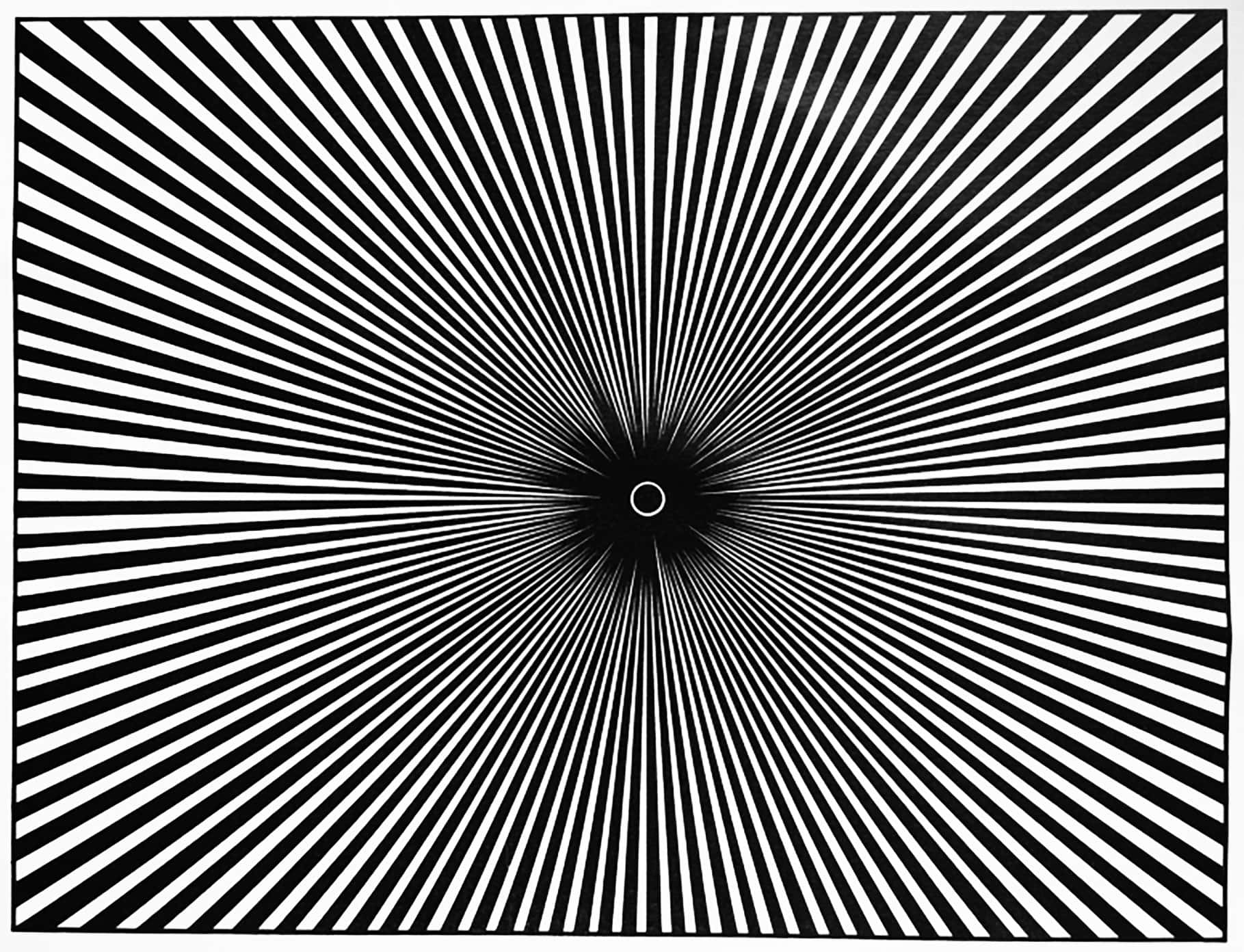 Black And White Flower Color Illusion Picture
