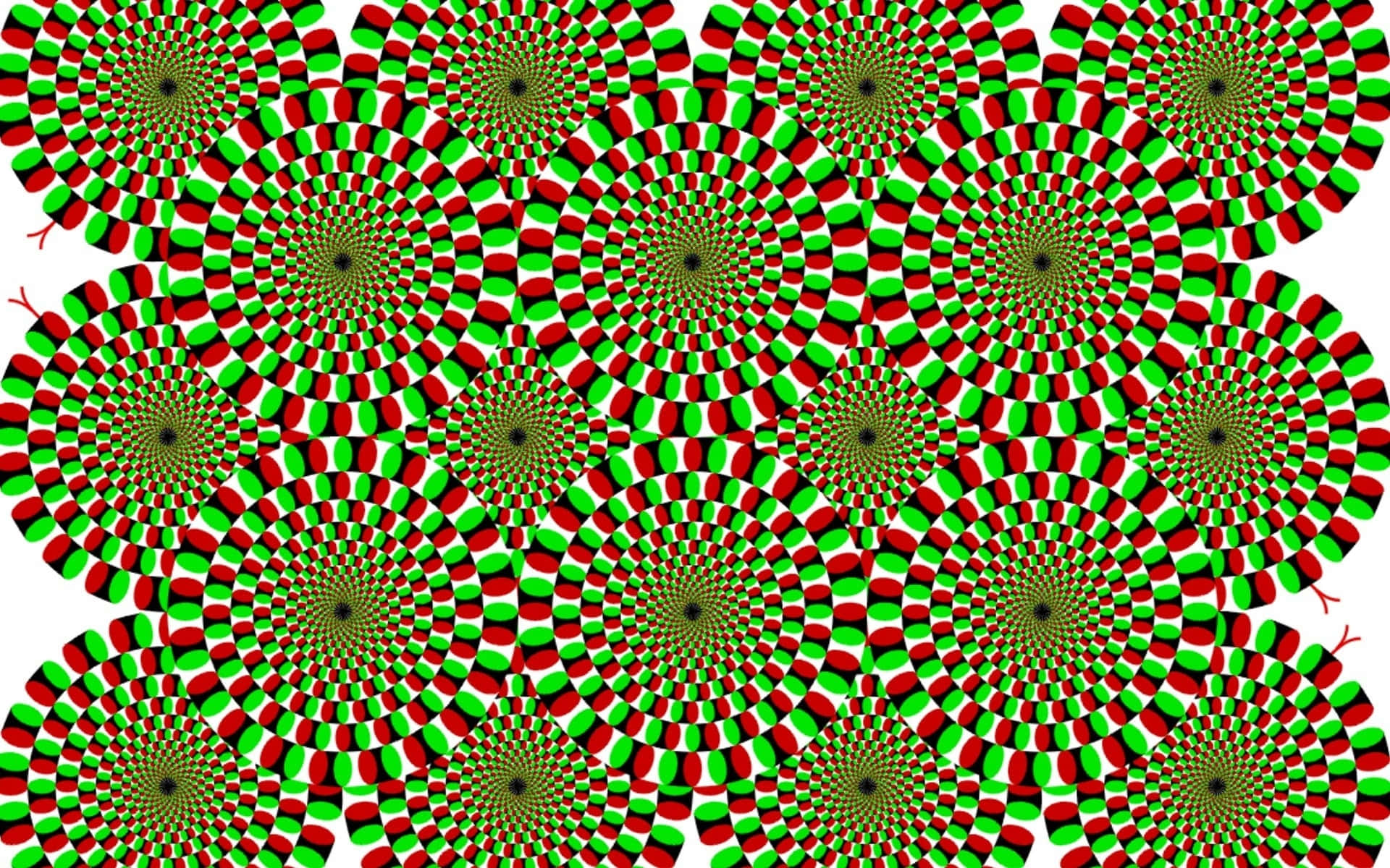 Flower Patterns Green Color Illusion Picture