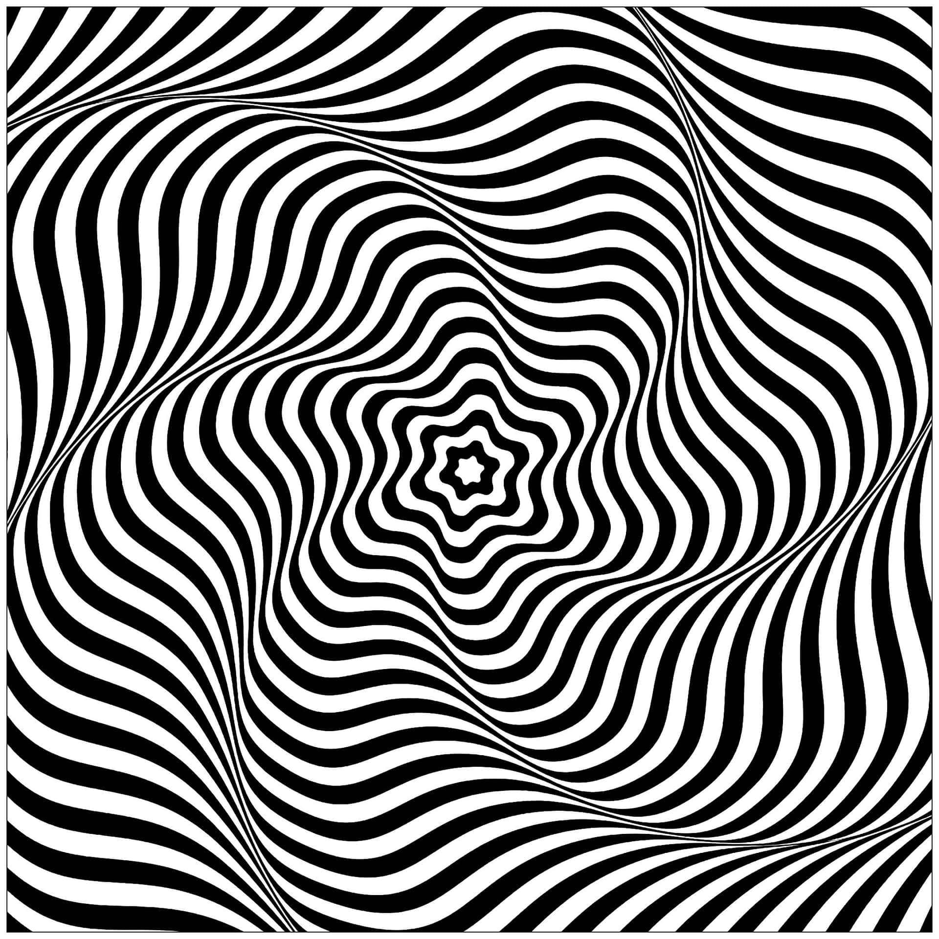 Black And White Color Illusion Picture