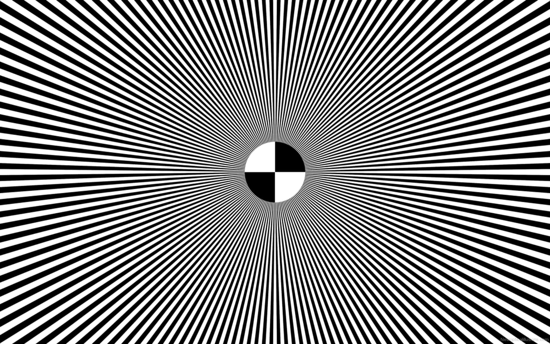 Black And White Circle Color Illusion Picture