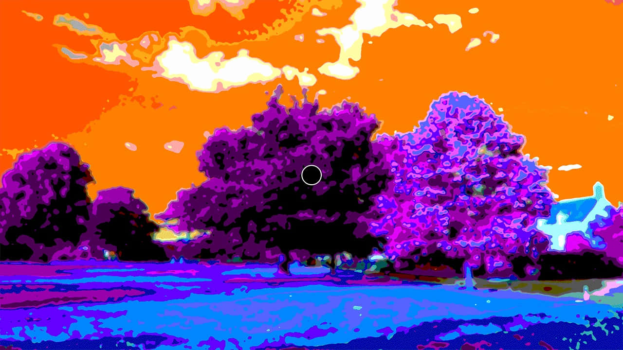 Trees And Sky Color Illusion Picture