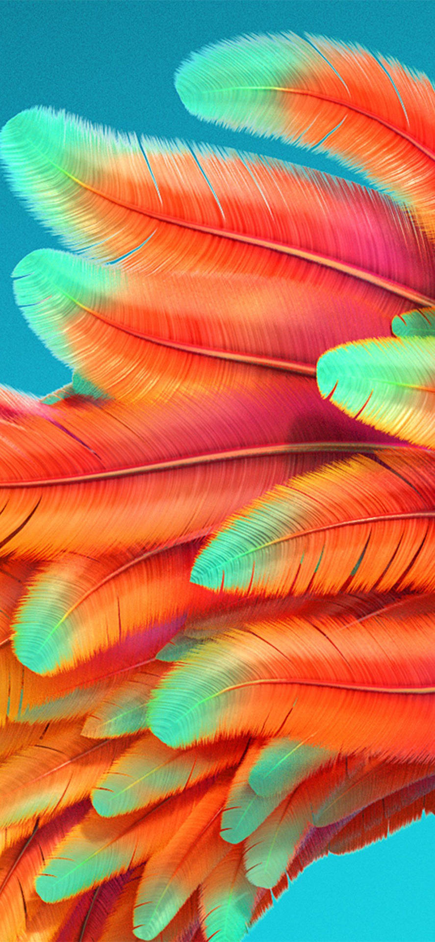 Color Iphone Rainbow Bird Feathers