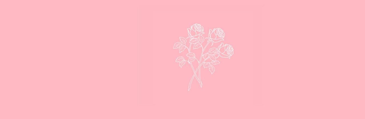 Color Pink With Line Art Roses Twitter Header Background