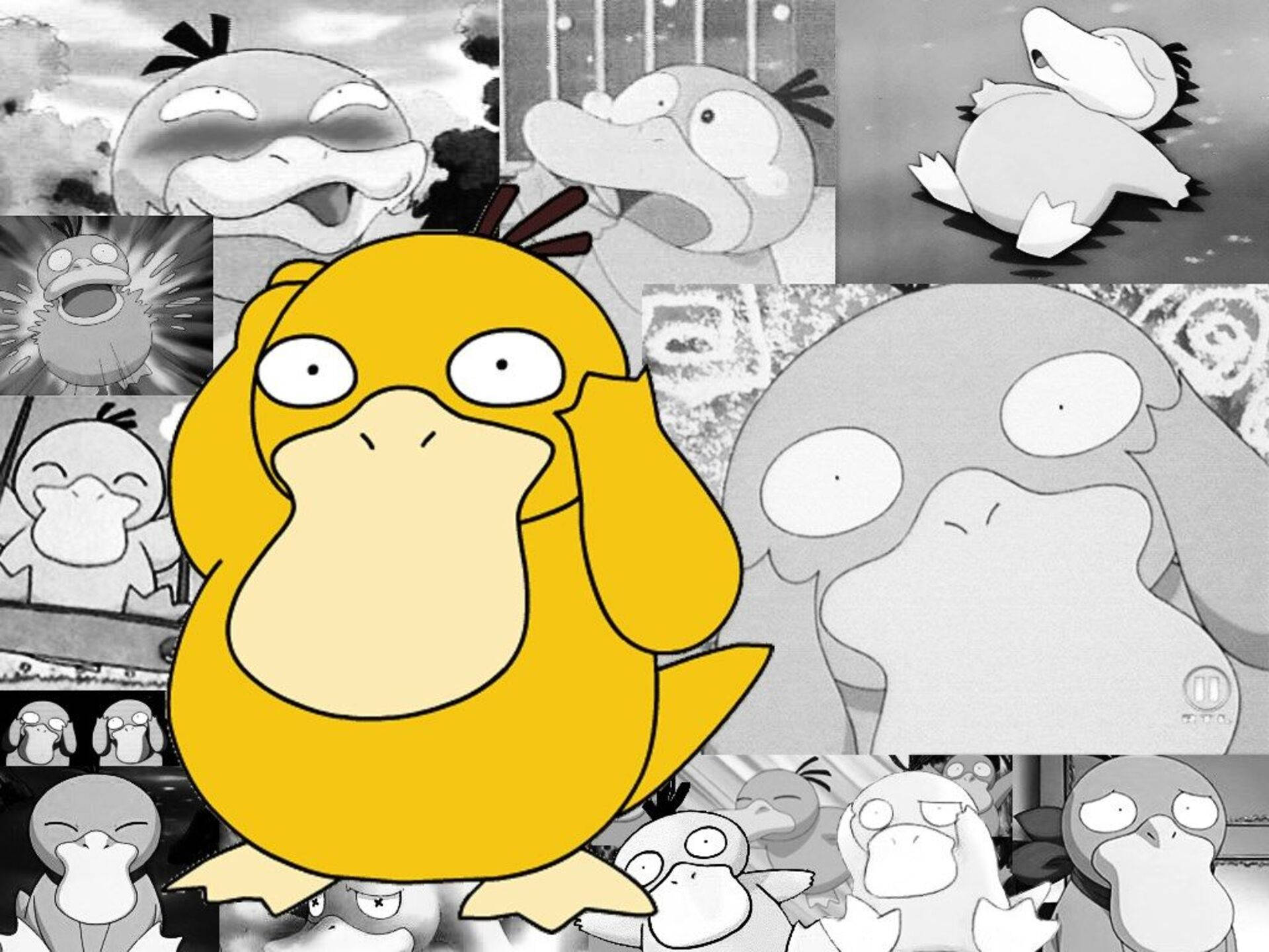 Color Popping Psyduck