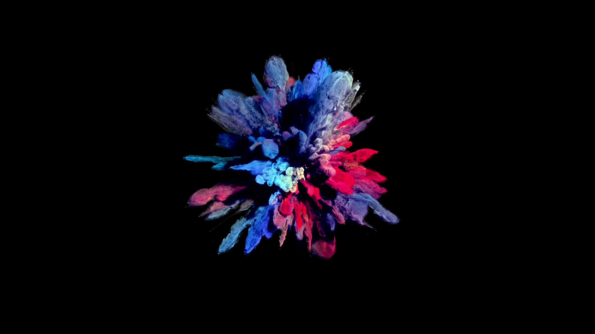 A Colorful Flower Is Shown On A Black Background