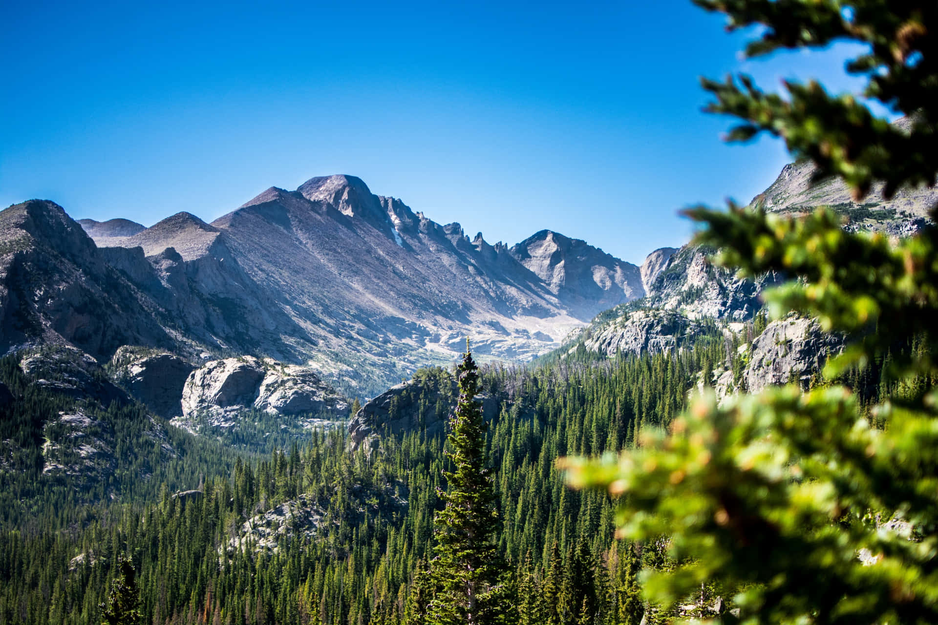 Serene Colorado Landscape