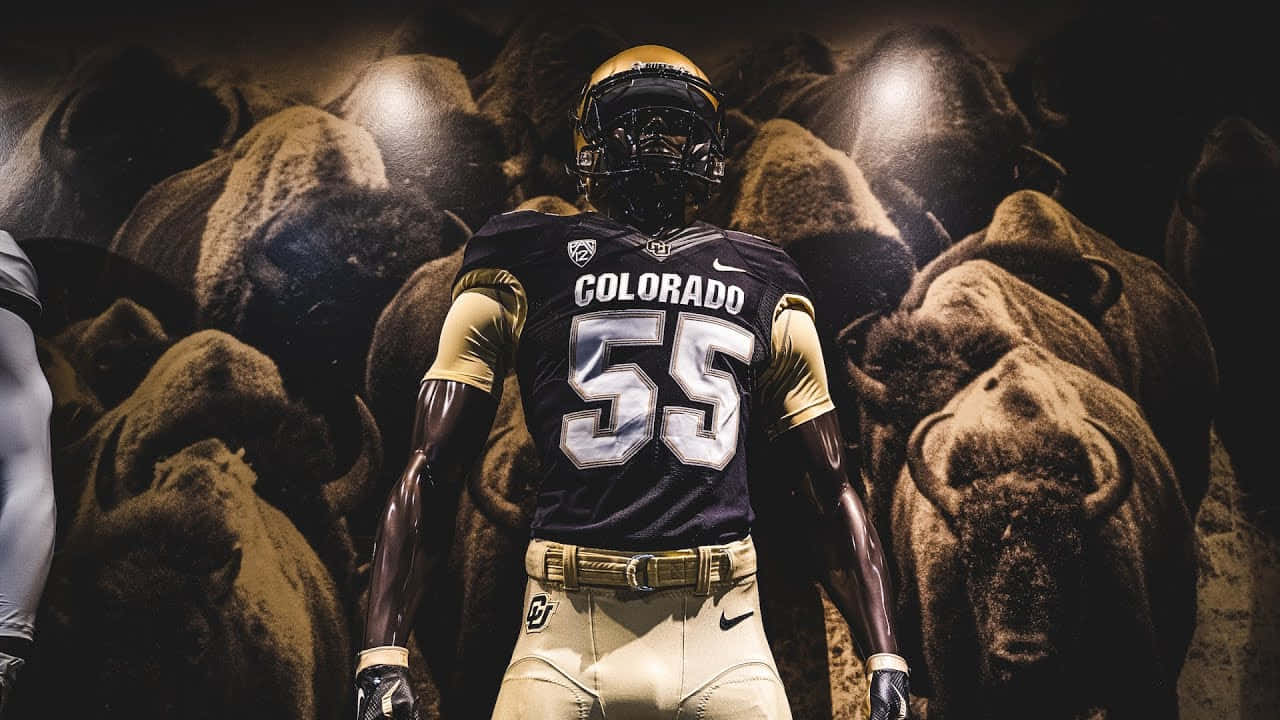 Colorado Buffaloes Football Player Number55 Wallpaper