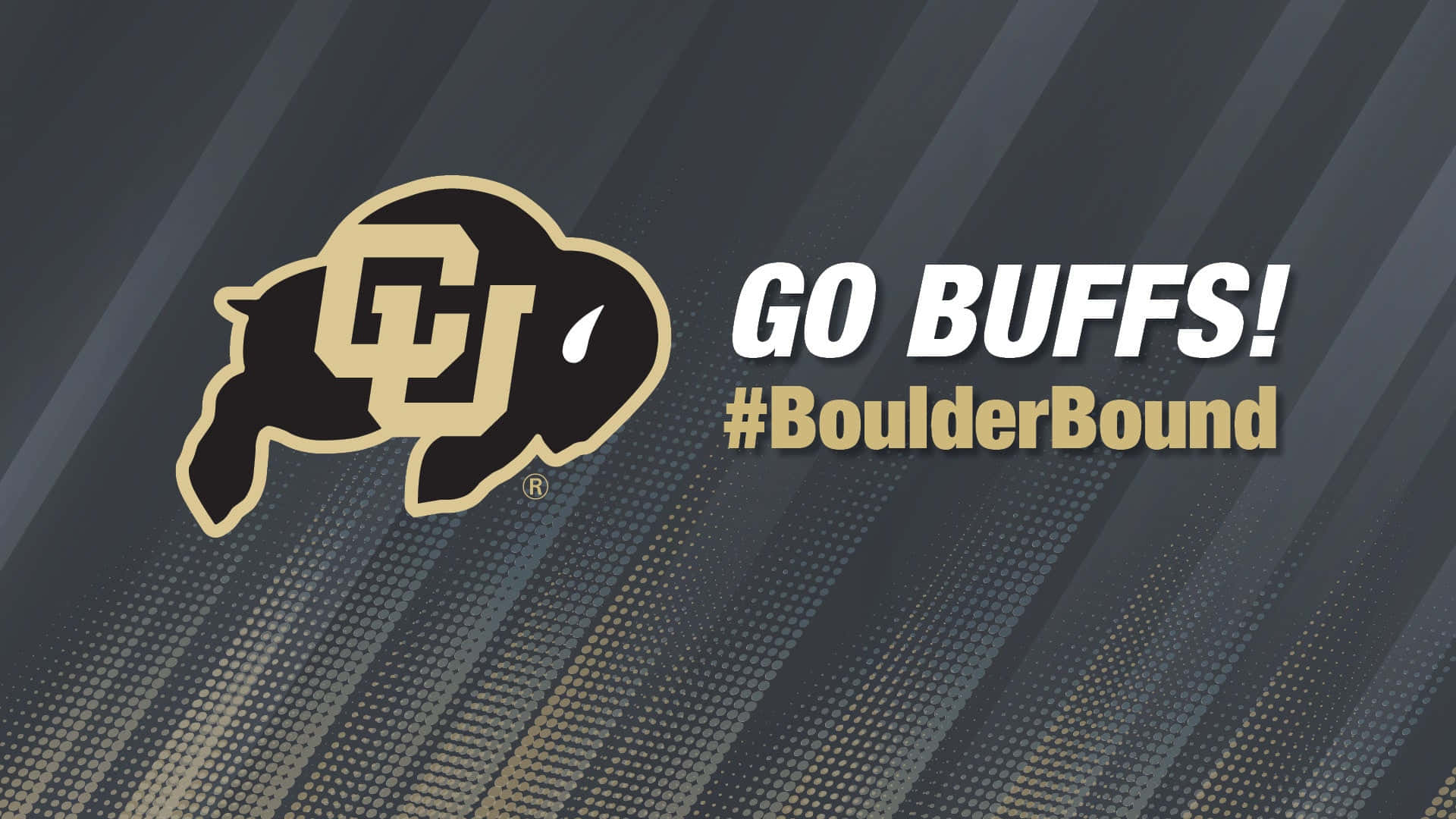 Colorado Buffaloes Go Buffs Boulder Bound Banner Wallpaper